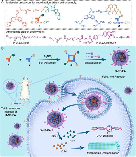 Preparation Of 3 Nf Fa And Its Anticancer Activity Via Synergistic Drug