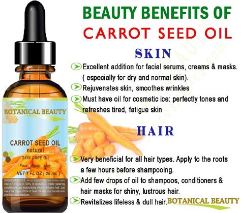 Carrot Seed Oil Natural Cold Pressed Carrier Oil Fl Oz