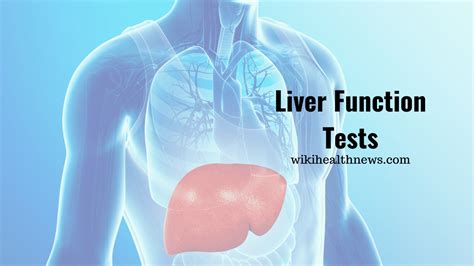 Liver Function Test Check The Health Of Liver Wiki Health News