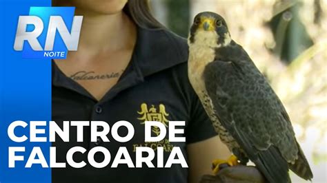 Centro de falcoaria em Foz do Iguaçu YouTube