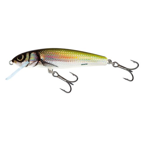 Salmo Minnow Sinking 6 CM Holo Bleak Zunnebeld