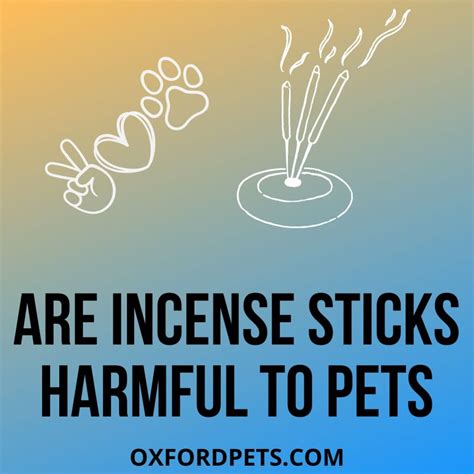 Are Incense Sticks Harmful To Pets Which Ones Are Safe Oxford Pets