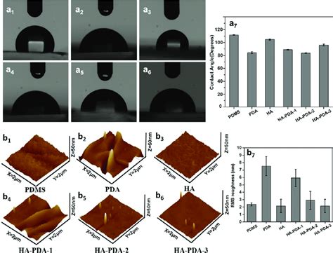 Surface Characterizations Of Various Pdms Substrates A Water Contact