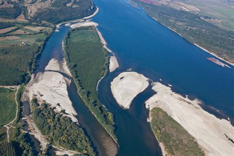 WWF и Музейко отбелязват заедно Международния ден на река Дунав | WWF
