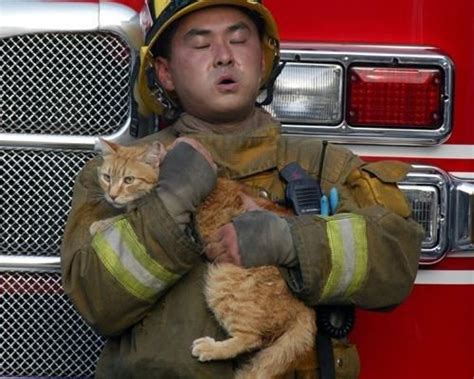 These 16 Photos Of Firefighters Saving Cats Will Melt The Coldest