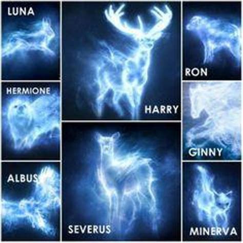 Patronus Des Héros De Harry Potter Harrypotter Harry Potter Patronus