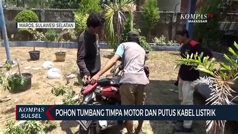 Pohon Tumbang Timpa Motor Dan Putus Kabel Listrik Video Dailymotion