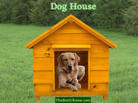 19 Dog House Names With Explanation Thebestuknow