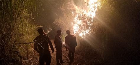 Delapan Hektar Lahan Perkebunan Terbakar BPBD BM Kerahkan Dua Damkar