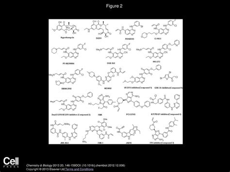 Developing Irreversible Inhibitors Of The Protein Kinase Cysteinome