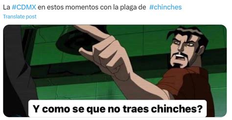 Los Mejores Memes Por La Plaga De Chinches En La Unam