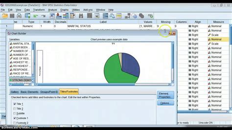 How To Show Percentage In Pie Chart In Spss Printable Online