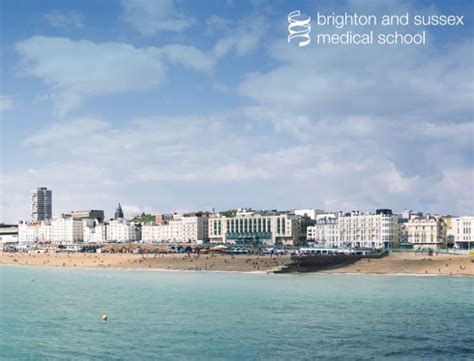 Brighton and Sussex Medical School in United Kingdom