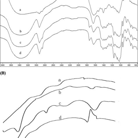 Infrared Spectra Of Solid In The Region 400 3800 Cm A And The Dsc Download Scientific Diagram