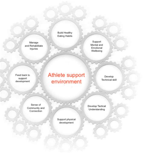 How To Establish An Interdisciplinary Team Sport Science And Coaching