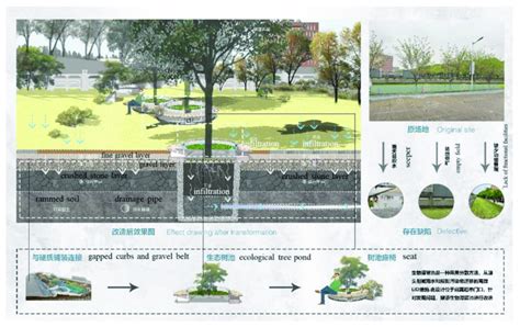 The ecological design scheme diagram of the second group (drawn by ...