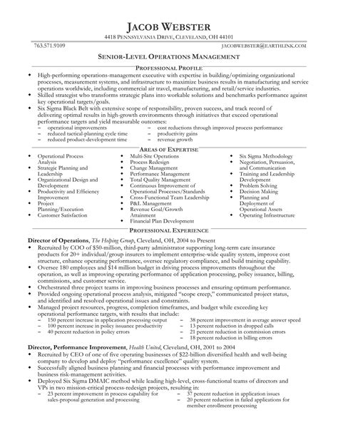 The Top Executive Resume Examples Written By A Professional Recruiter