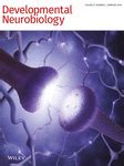 Sex Differences In The Nicotinic Excitation Of Principal Neurons Within