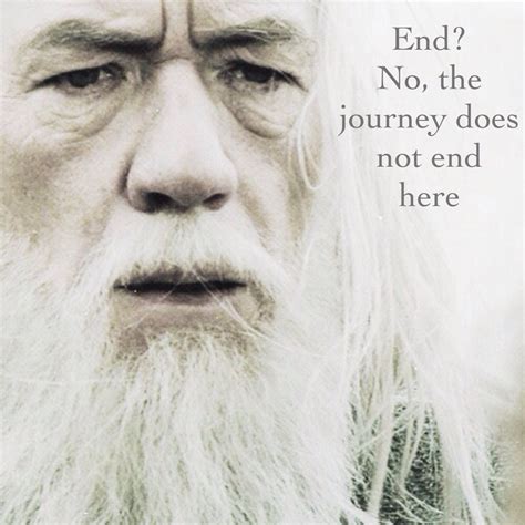 Gandalf Quotes About Journey - ADEN