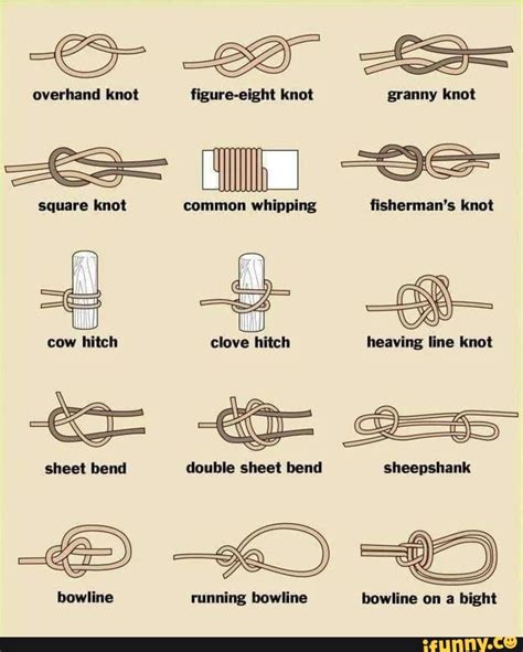 Overhand Knot Figure Eight Knot Granny Knot Square Knot Common Whipping