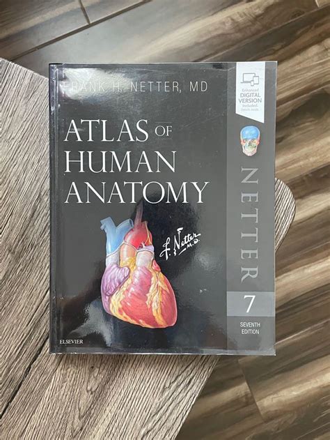 Atlas Of Human Anatomy Netter Basic Science Th Edition Med Store