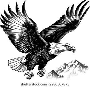 Eagle Flying Sketch Vector Graphics Monochrome Stock Vector (Royalty ...