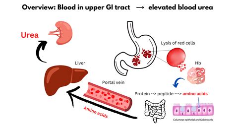 Graphics The Blood Project