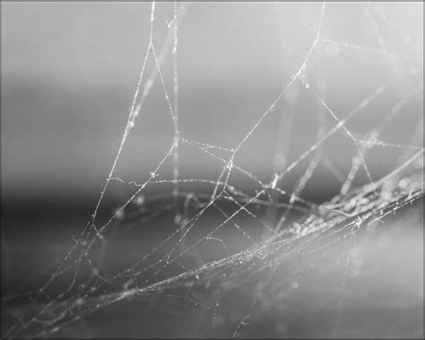 single images howard dale photography