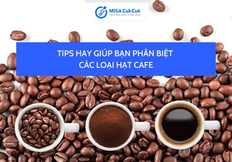 Tips hay giúp bạn phân biệt các loại hạt cafe phổ biến hiện nay