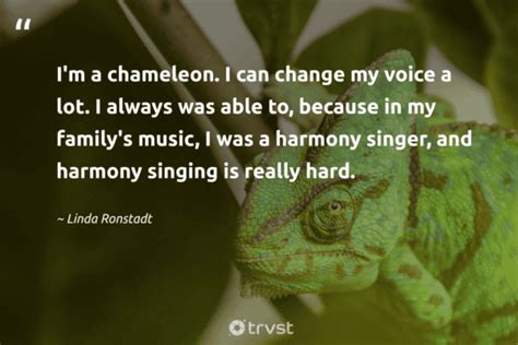 23 Chameleon Quotes Camouflaging Wisdom