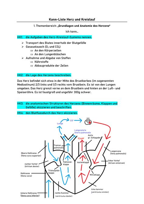 Herz Und Kreislauf Zusammenfassung Kann Liste Herz Und Kreislauf