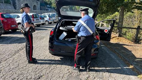 I Cartelli Imbrattati E Le Indagini Dei Carabinieri