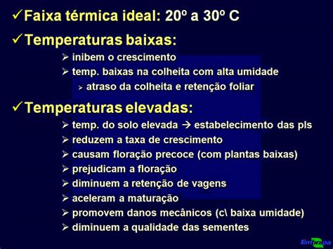 Estresse térmico como as altas temperaturas afetam a soja