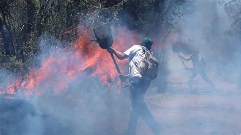 M Xico Rompe R Cord De Incendios Forestales En Grupo Milenio