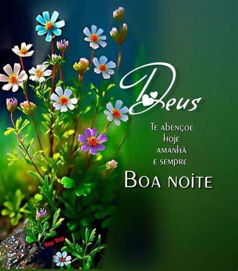 Pin By Helen Diniz On Boa Noite Good Night Quotes Gratitude Quotes