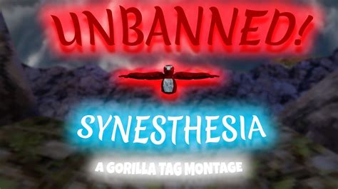 Synesthesia Unbanned Gorilla Tag Montage Youtube