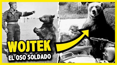 Wojtek El Oso Soldado De Polonia Que Fue A La Guerra Historia Real