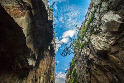 Images Gratuites Arbre La Nature Roche Montagne Formation