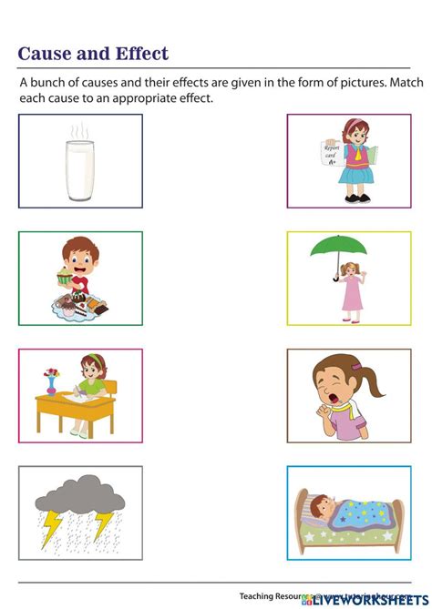 What Is Cause And Effect Worksheets 99worksheets