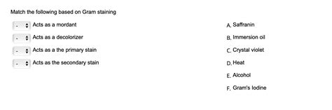 Match The Following Based On Gram Staining Acts As A Mordant A