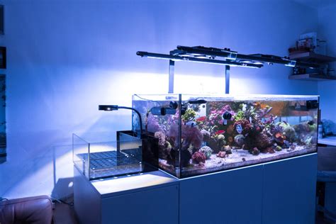 Frag Tanks Archives Reef Casa