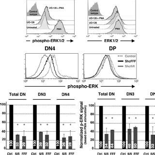 Ablation of ShcA expression or ShcFFF transgene expression results in... | Download Scientific ...