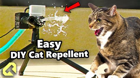 How To Make A Cat Repellent For Under 15 In Parts Youtube