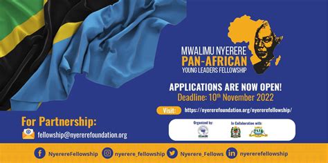 Mwalimu Nyerere Pan African Young Leaders Fellowship 2022 Opportunity