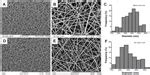 Electrospun Gelatin PCL And Collagen PLCL Scaffolds For Vascular Tissu