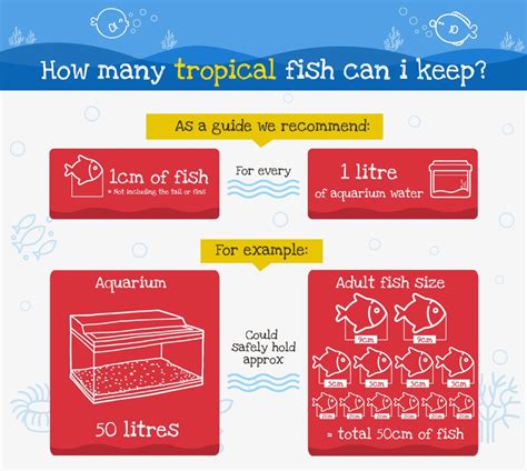 How Many Fish Fish Aquarium Care Interpet