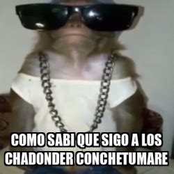 Meme Personalizado Como Sabi Que Sigo A Los Chadonder Conchetumare