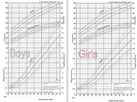 Fenton Growth Chart 28 Printable Height Weight Chart Forms And Templates