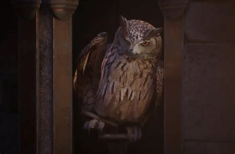 New Hogwarts Legacy cinematic trailer released | Multiplatform.com