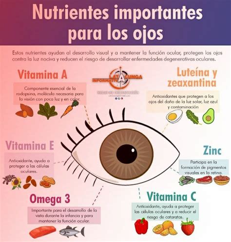 QUÉ ALIMENTOS AYUDAN A MEJORAR LA VISIÓN Latacunga Informativa